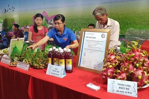 Cảnh báo nông sản Việt Nam sụt giảm giá