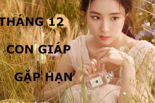 Top con giáp bị tiểu nhân quấy phá, khó khăn muôn trùng tháng 12/2019
