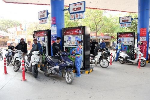 Xăng dầu giả - Thiệt hại thật