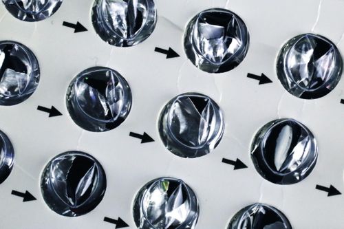 Mỹ phát triển thuốc tránh thai trong 3 tuần chỉ với một liều duy nhất