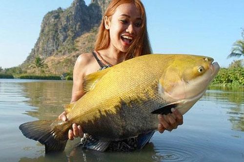 Con gì đi bắt vịt gà, mất đuôi xuống nước hóa ra khác loài?