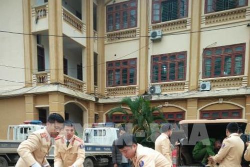 Lào Cai: Bắt giữ xe ô tô chở gỗ lậu
