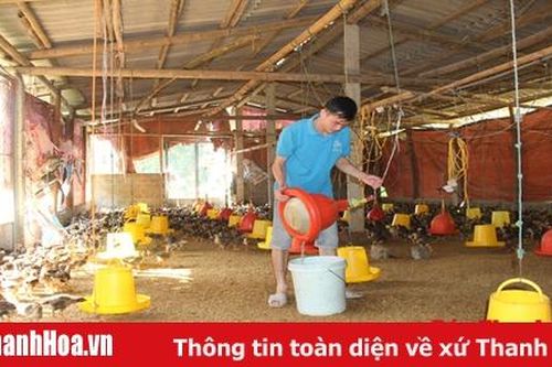 Phát triển kinh tế tập thể ở Lang Chánh