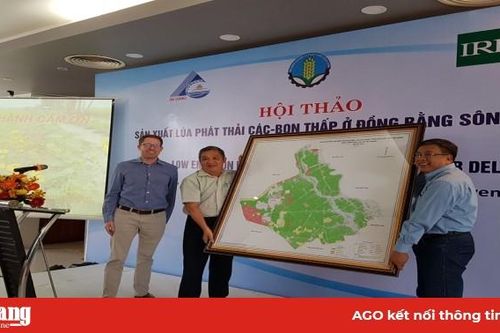 Tưới ngập khô xen kẽ - giải pháp mới cho nông nghiệp hiện đại