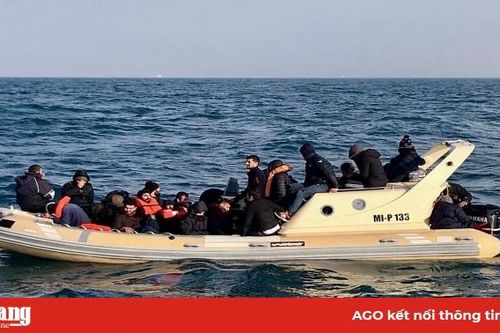 Tòa án Anh kết án tù 3 đối tượng đưa người nhập cư trái phép
