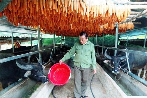 Mỗi cựu chiến binh là một tấm gương