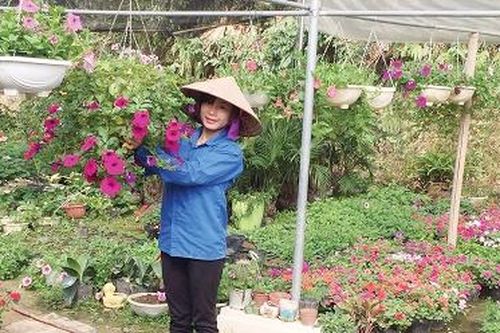 Khởi nghiệp từ nguồn vốn 120