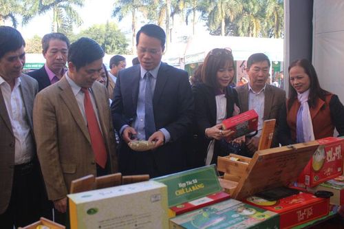 Trao đổi kinh nghiệm phát triển mô hình hợp tác xã kiểu mới