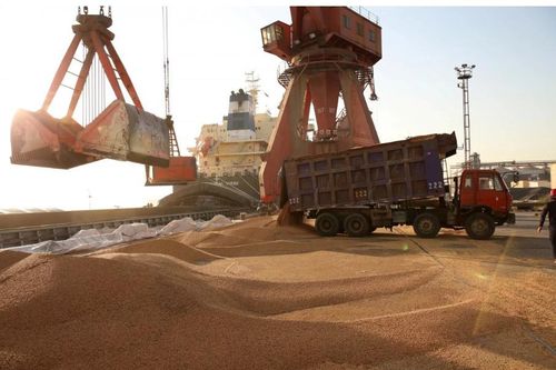 Trung Quốc miễn áp thuế đối với đậu tương và thịt lợn Mỹ