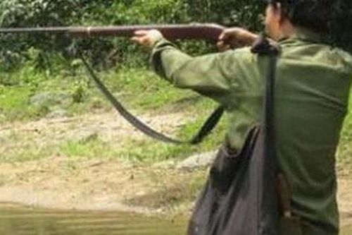 Nghệ An: Người đàn ông bị bắn tử vong khi hái rau trong rừng