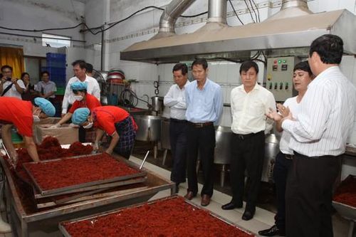 Chính phủ đồng ý gia hạn thời gian thí điểm Ban Quản lý ATTP TPHCM