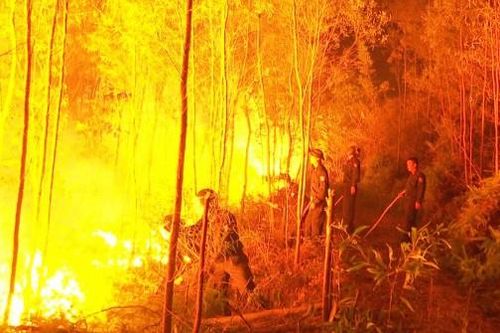 Xảy cháy rừng trên diện rộng tại Bắc Giang