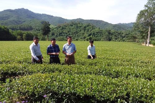 Anh Sơn ước đạt 2.182 tỷ đồng tổng huy động vốn đầu tư toàn xã hội