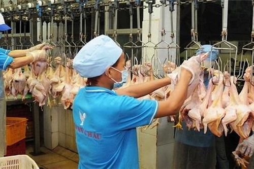 Giảm thuế nhập khẩu một số sản phẩm nông nghiệp theo đề nghị từ Mỹ