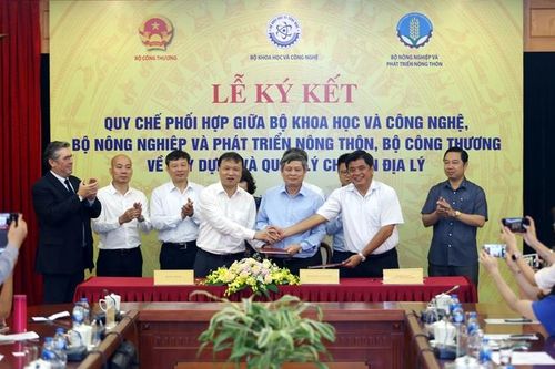 Chỉ dẫn địa lý: 'Tài sản' cần được khai thác