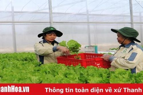 Những nhà nông thời công nghệ 4.0