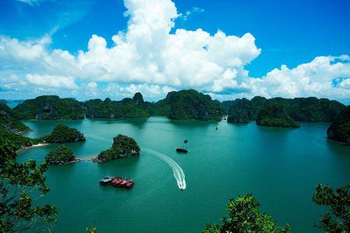 Tìm sự gắn kết trong quản lý di sản