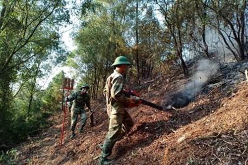 Gần 500 cán bộ, chiến sĩ tham gia chữa cháy rừng phòng hộ ở Bắc Giang