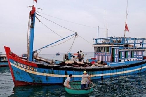 Gỡ khó cho tàu cá 67: 'Giằng co' giữa ngân hàng và bảo hiểm