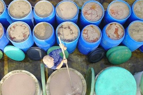 Thử một lần 'săn' ruốc biển đặc sản Cửa Lò cùng ngư dân Nghệ An