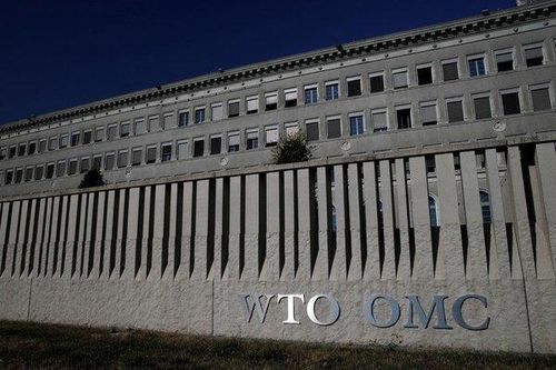 Hệ quả khi tòa phúc thẩm WTO 'tê liệt'
