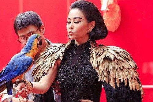 Thu Minh kể về sự vô duyên của mình sau khi sinh con, không nhận mình là Diva vì... lố bịch