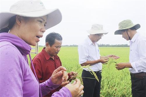 Nâng cao năng lực sản xuất nông nghiệp cho người dân