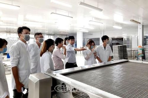 Nâng chất sinh viên từ hoạt động thực tế