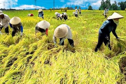 Lắng nghe để tháo gỡ