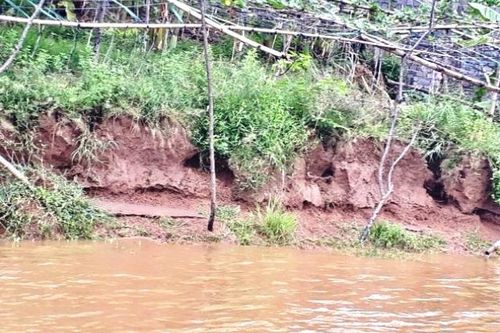 Hà Nội phát sinh 14 sự cố đê điều