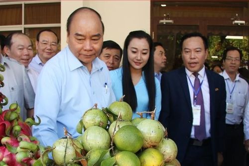 Thủ tướng đối thoại với nông dân để tháo gỡ khó khăn vướng mắc