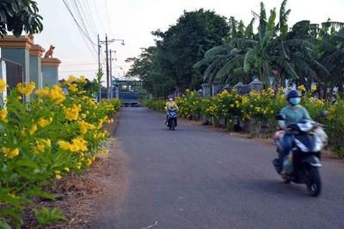 Môi trường ở nông thôn có chuyển biến tích cực nhưng vẫn thiếu tính bền vững