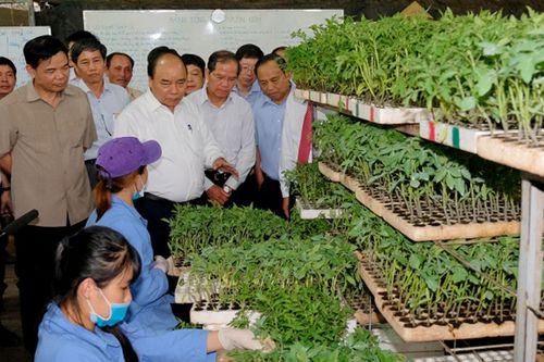 Hội nghị 'Thủ tướng Chính phủ đối thoại với nông dân'