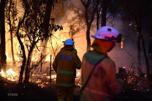 Australia khó kiểm soát các đám cháy rừng do thời tiết khô nóng
