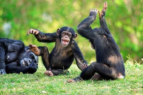 Tinh tinh cười đùa tít mắt quên trời quên đất 'cực phê'