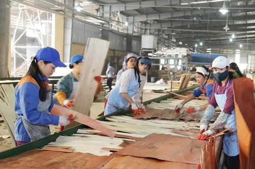 Phát triển kinh tế lâm nghiệp bền vững