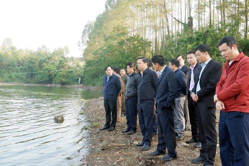 Công ty Hòa Phát cần thực hiện nghiêm quy định về bảo vệ môi trường