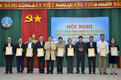 Triển khai sản xuất vụ đông xuân 2019 - 2020