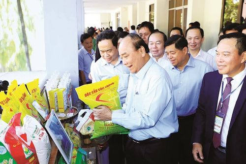 Thủ tướng đối thoại với nông dân: Nóng chuyện tiêu thụ nông sản