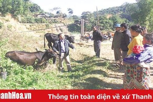 Huyện Mường Lát: Tăng cường công tác tuyên truyền phòng chống đói, rét cho đàn vật nuôi