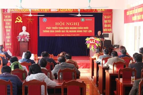 Phát triển chăn nuôi thông qua chuỗi giá trị ngành hàng thịt lợn