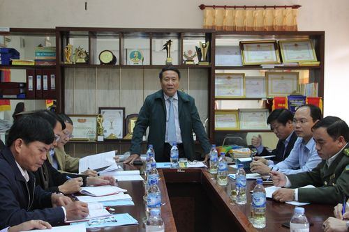 UBND tỉnh Quảng Trị làm việc với Công ty Lâm nghiệp Bến Hải về phương án sử dụng, chuyển giao đất rừng cho địa phương quản lí