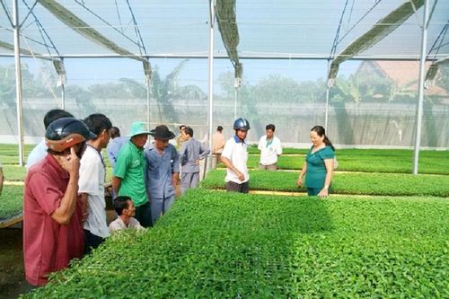 Năm 2019, Hà Nội có 112 hợp tác xã nông nghiệp được thành lập
