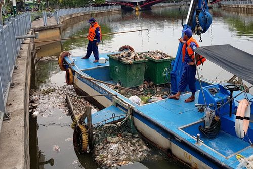 TP.HCM chốt phương án giải quyết vụ kiện triệu USD