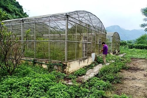 Bắc Kạn thông tin việc thu hồi các khoản thanh toán vượt sau quyết toán