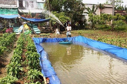 Vĩnh Long quyết liệt phòng, chống hạn mặn