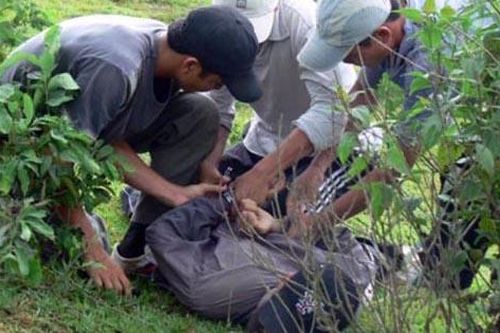 Ngăn 'bão trắng' trên đỉnh Giăng Màn