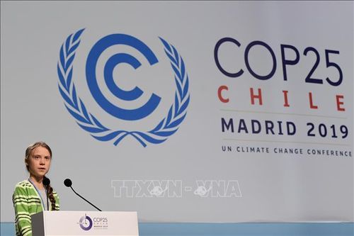Nhà hoạt động Greta Thunberg kêu gọi hành động thực chất chống biến đổi khí hậu