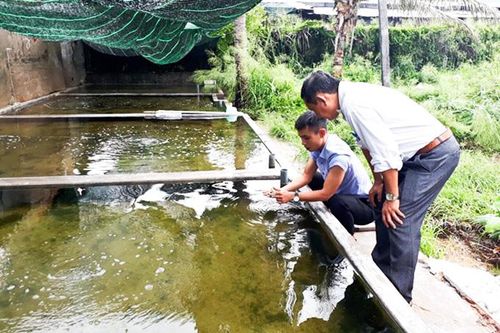 Nghiệm thu đề tài quy trình sản xuất giống nhân tạo sá sùng