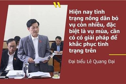 Nhiều ý kiến liên quan đến lĩnh vực phát triển nông nghiệp được thảo luận tại tổ